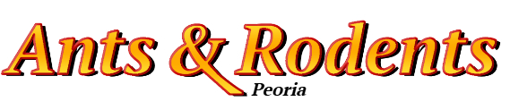 Peoria Ant Exterminator & Rodent Control Company Logo